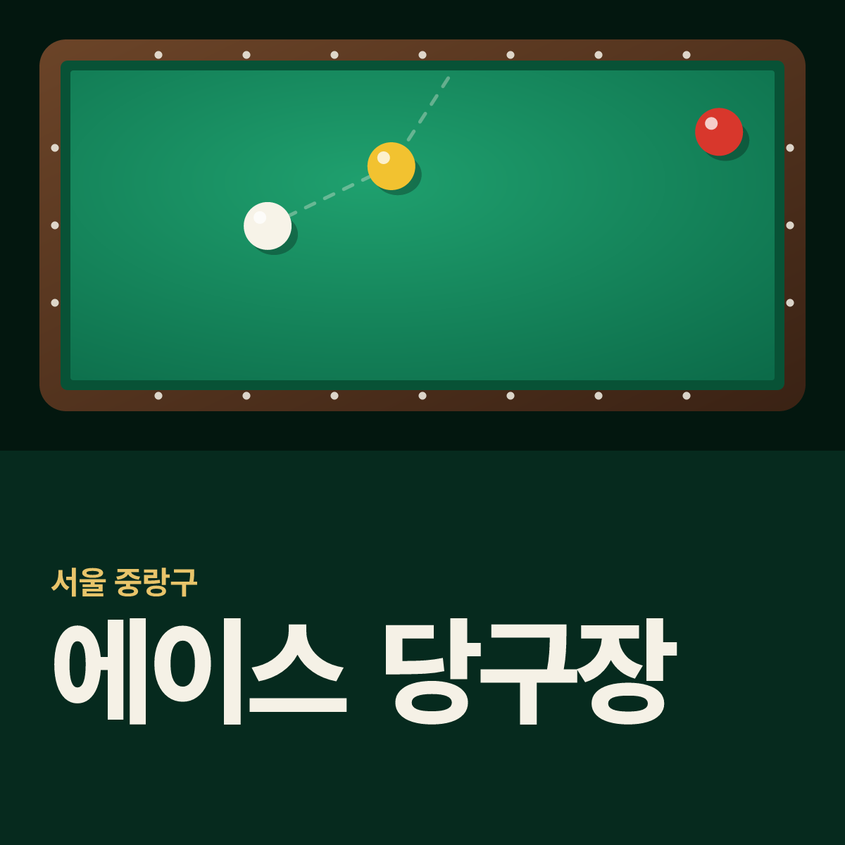 에이스 당구장 카드