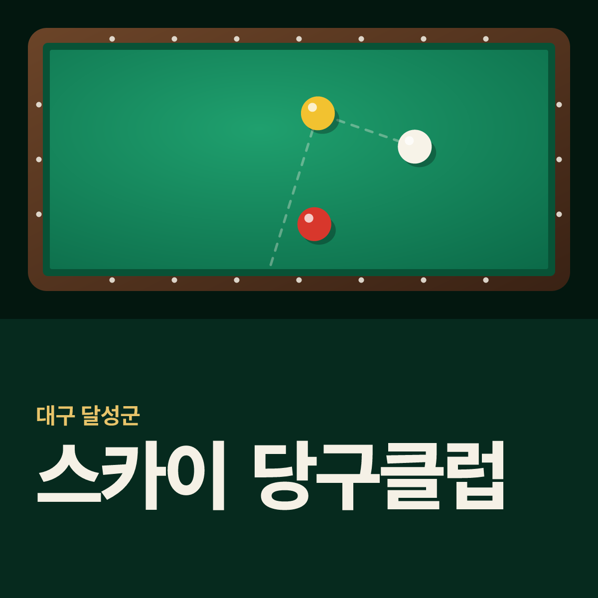 스카이 당구클럽 당구장 카드