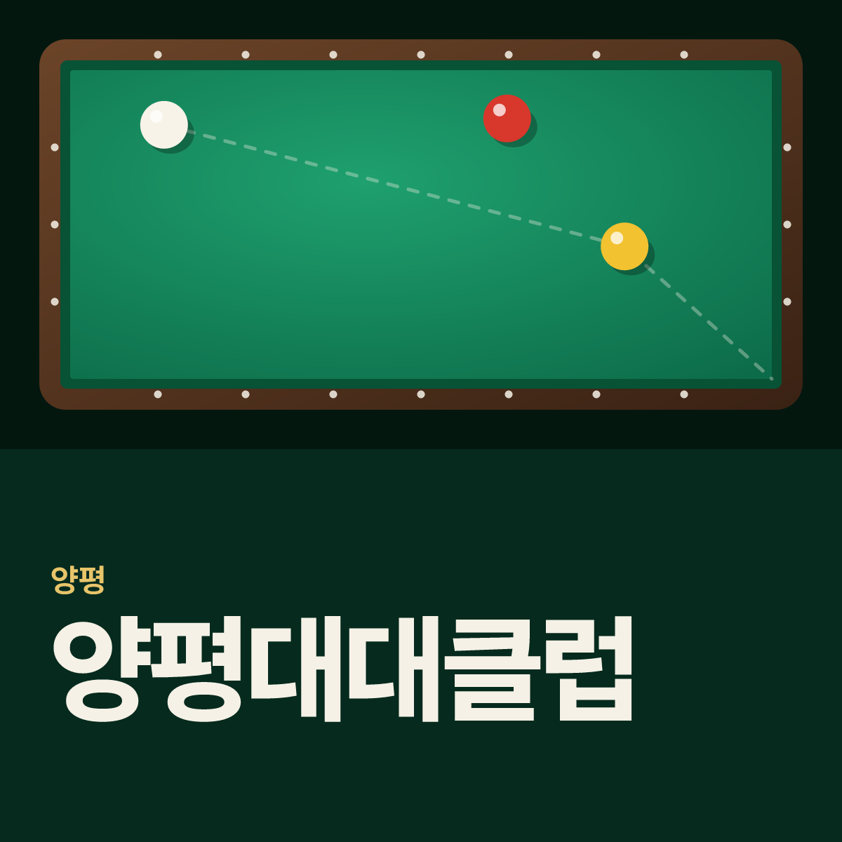 양평대대클럽 당구장 카드
