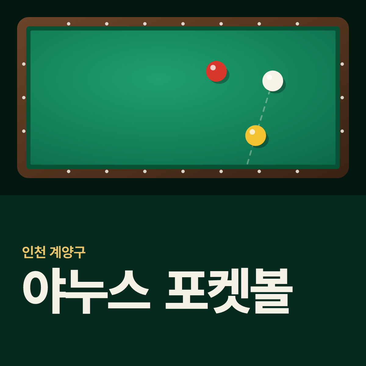 야누스 포켓볼 당구장 카드