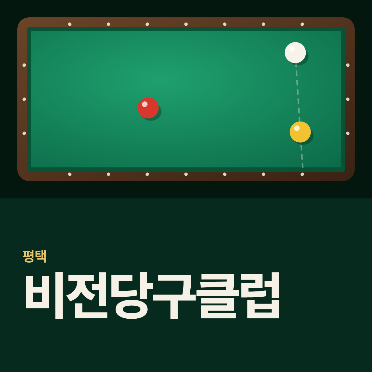 비전당구클럽 당구장 카드
