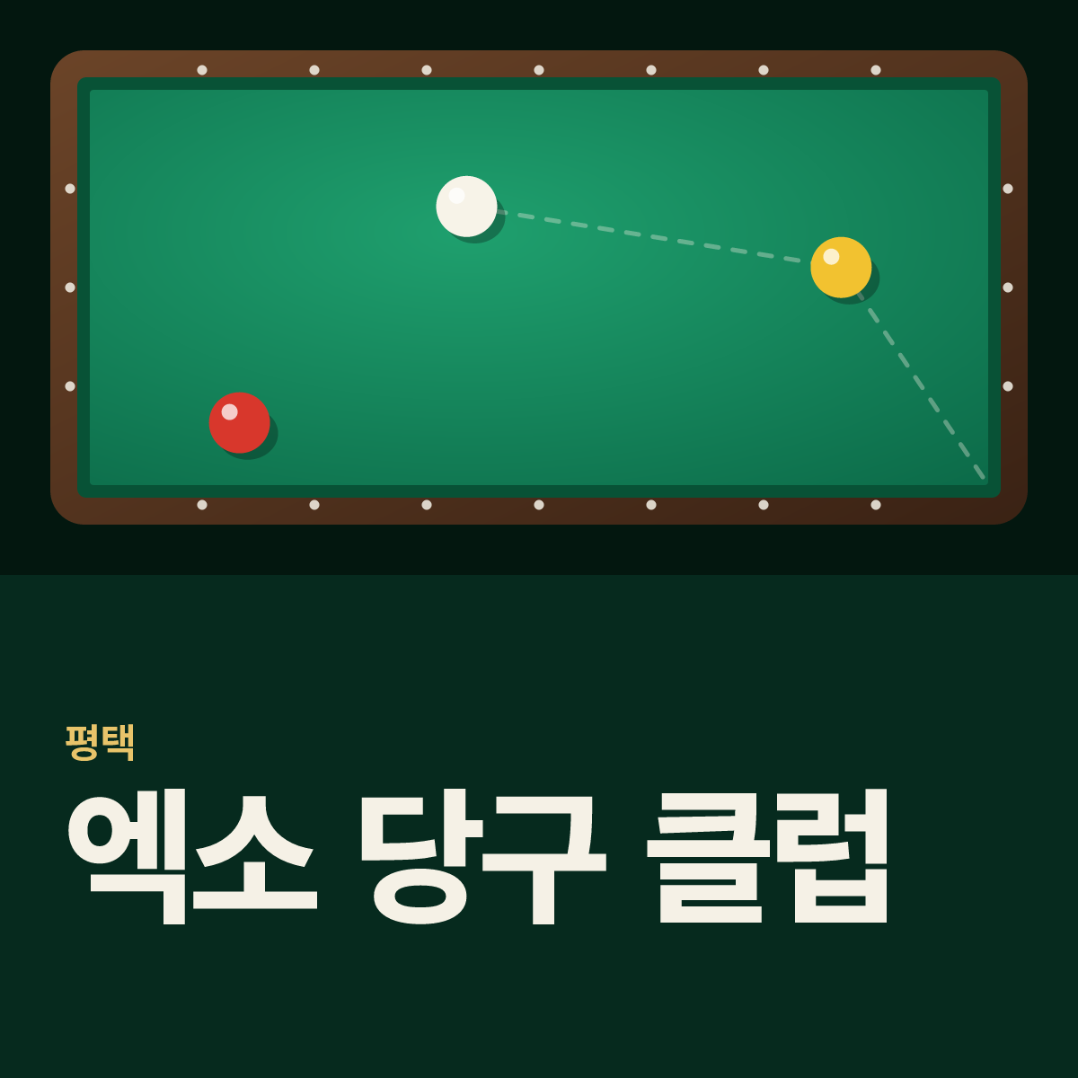엑소 당구 클럽 당구장 카드