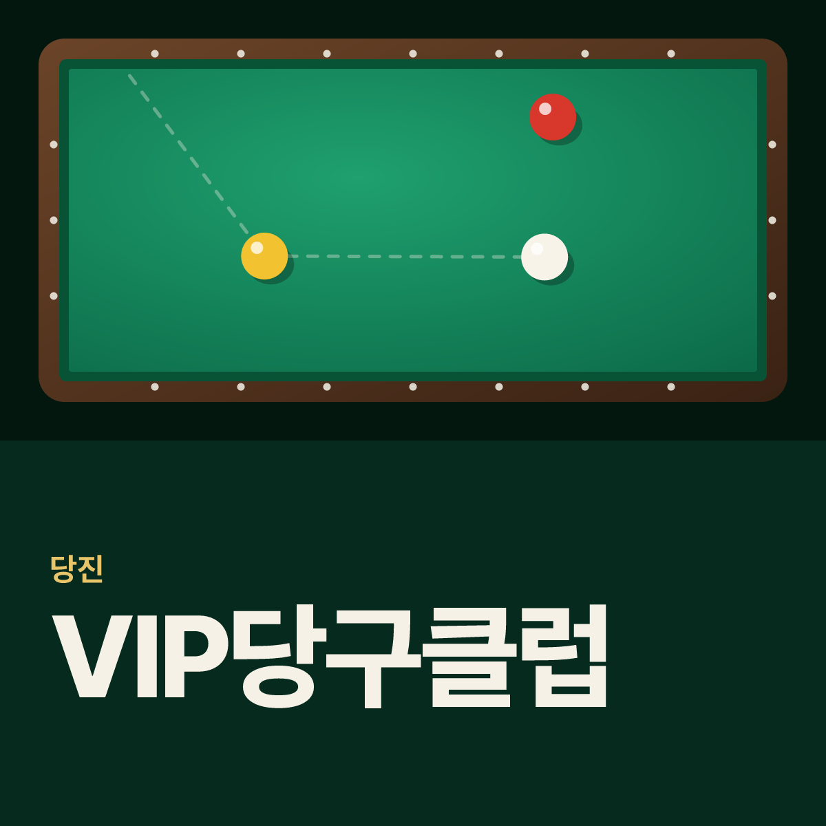 VIP당구클럽 당구장 카드