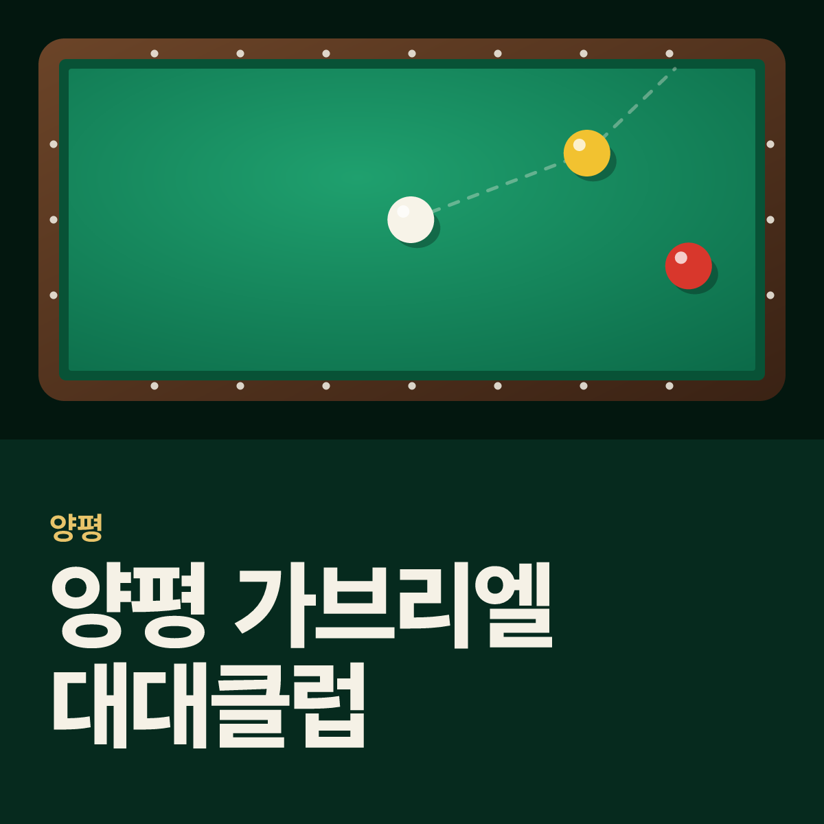 양평 가브리엘 대대클럽 당구장 카드