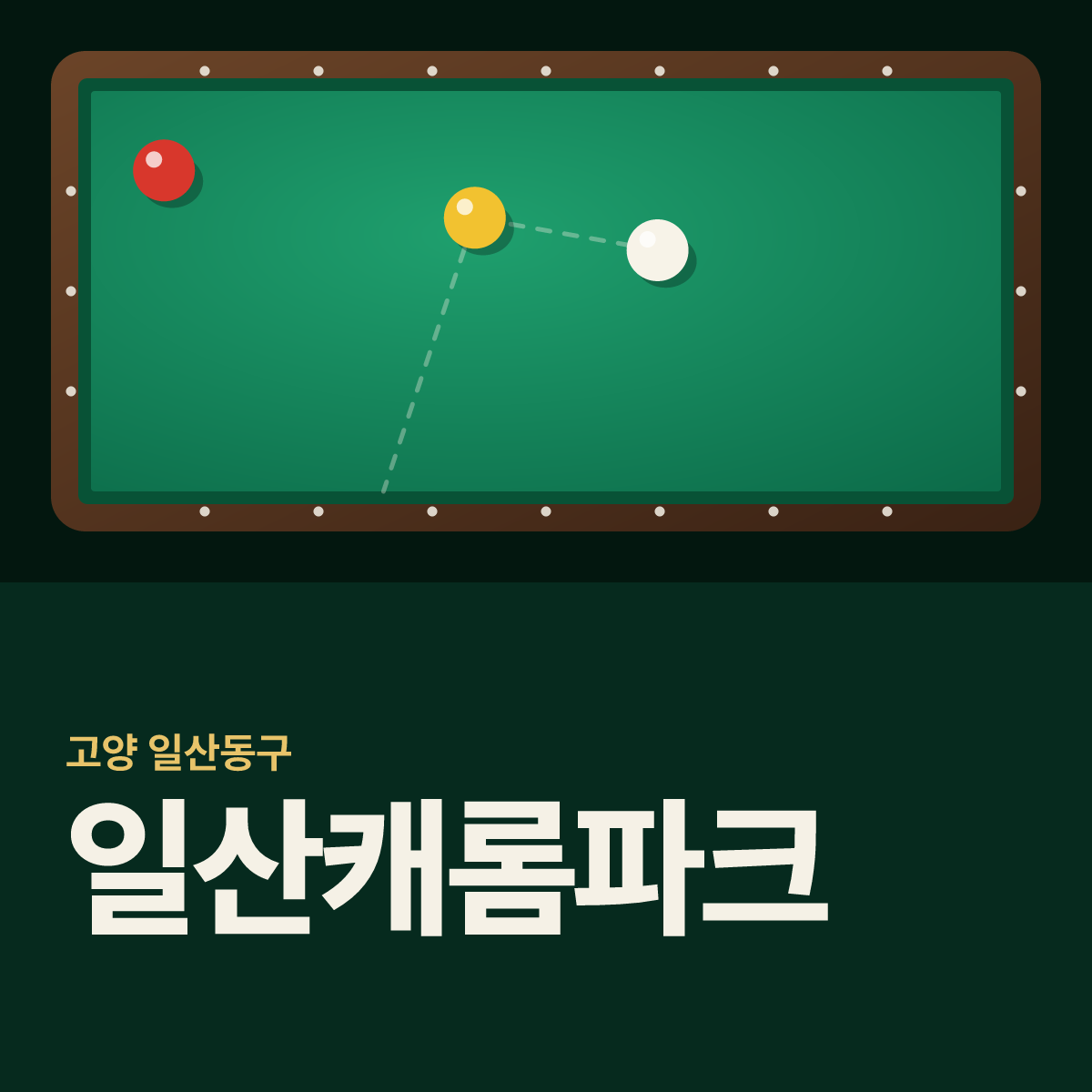 일산캐롬파크 당구장 카드