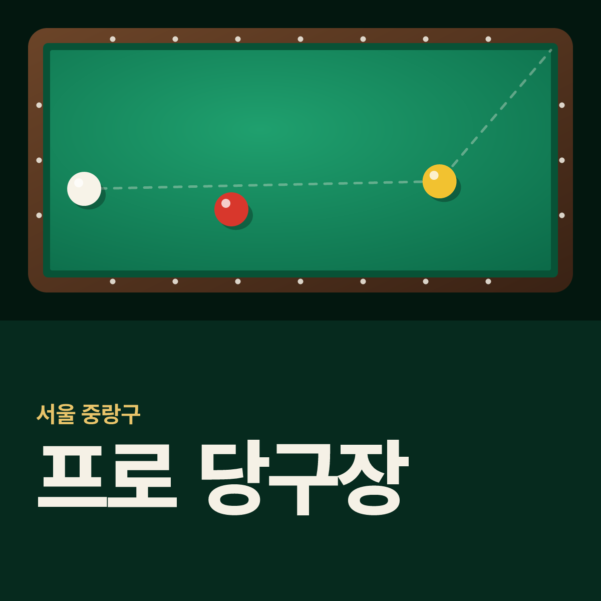 프로 당구장 카드