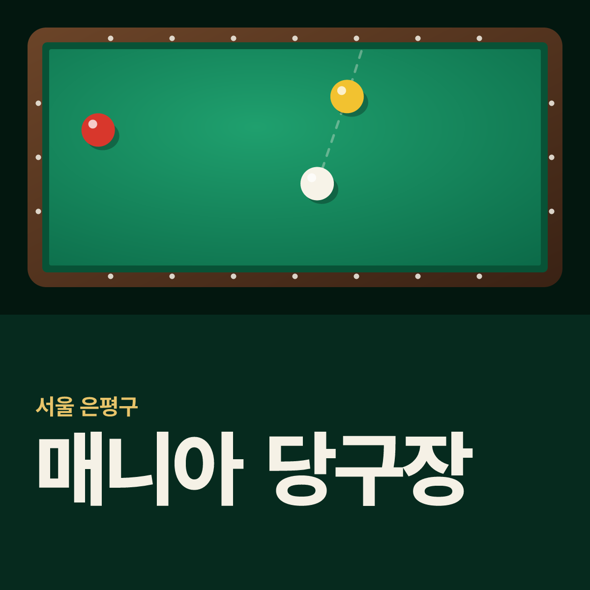 매니아 당구장 카드
