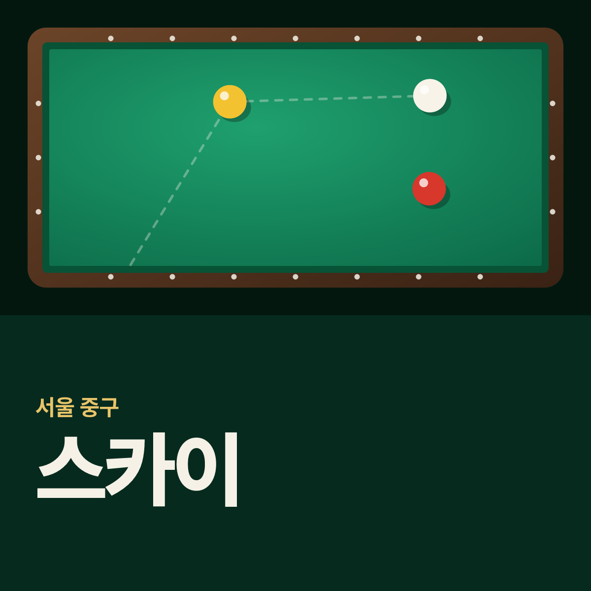 스카이 당구장 카드