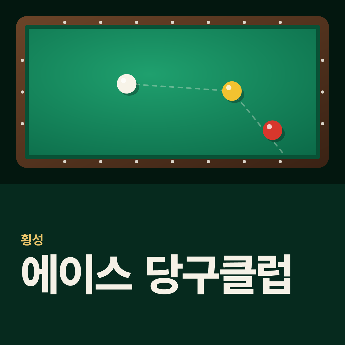 에이스 당구클럽 당구장 카드