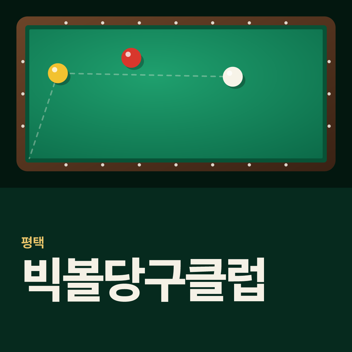 빅볼당구클럽 당구장 카드