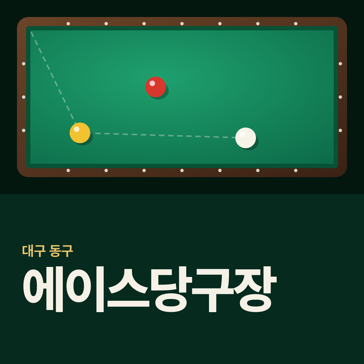 에이스당구장 카드