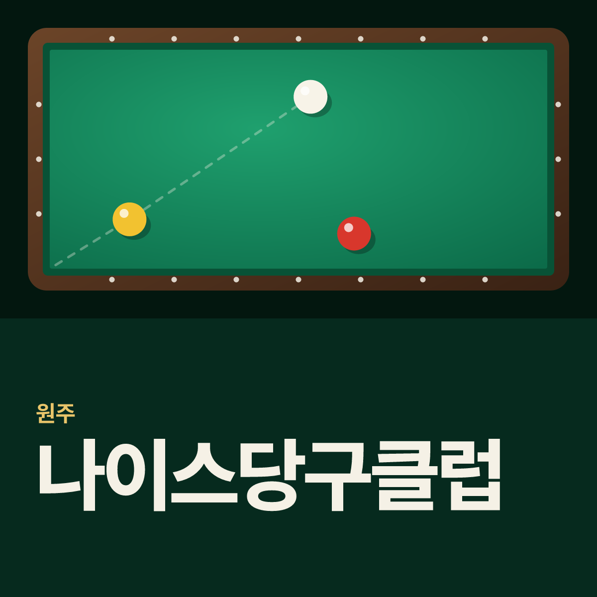 나이스당구클럽 당구장 카드
