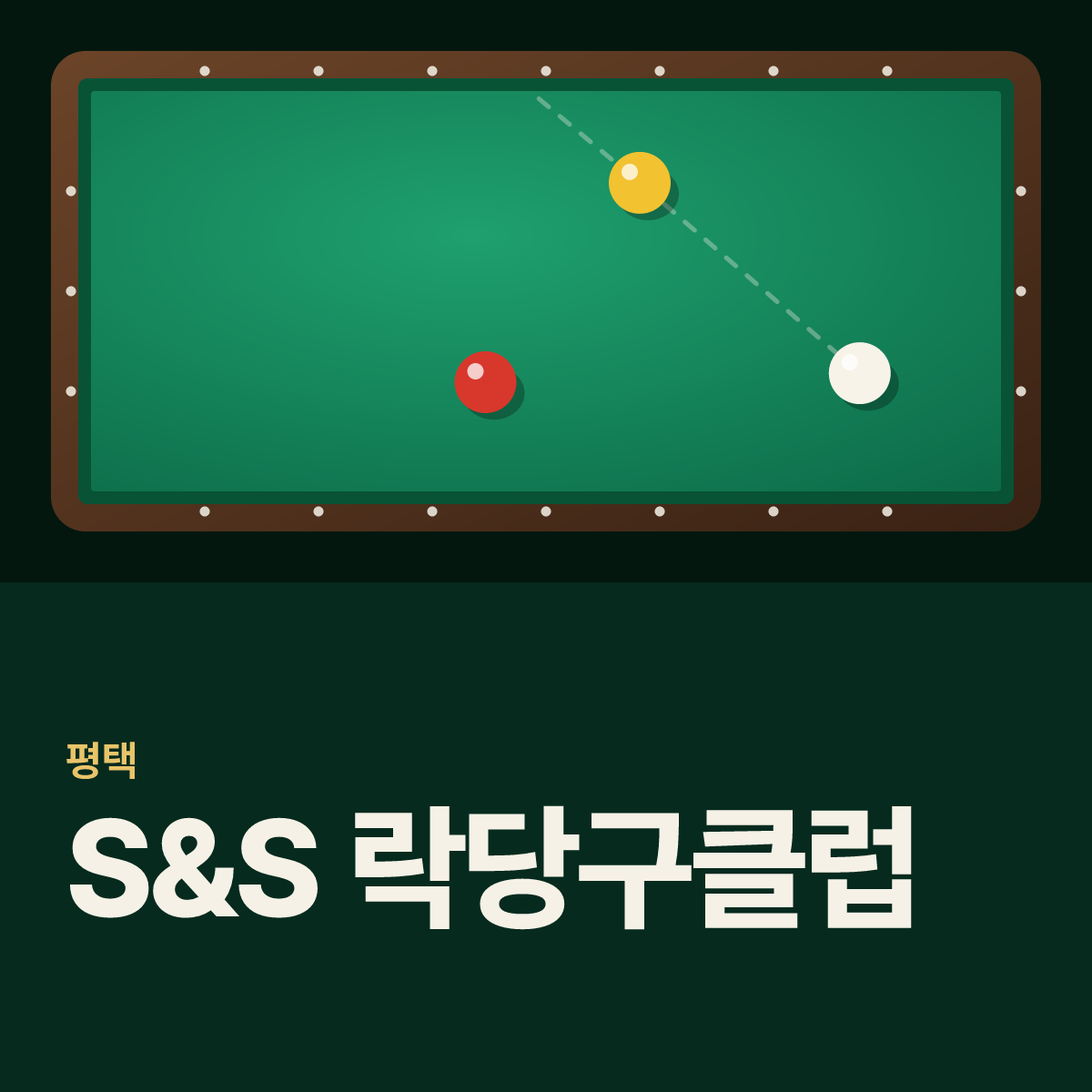 S&S 락당구클럽 당구장 카드