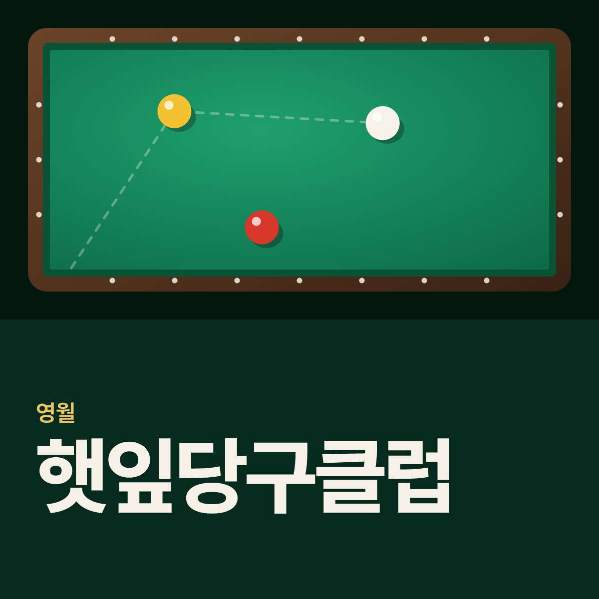 햇잎당구클럽 당구장 카드