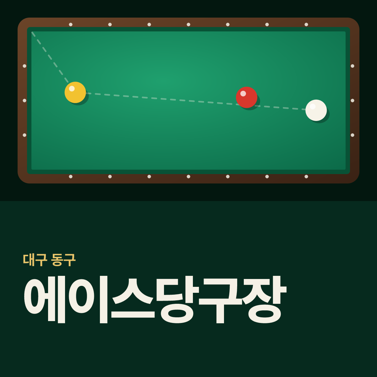 에이스당구장 카드