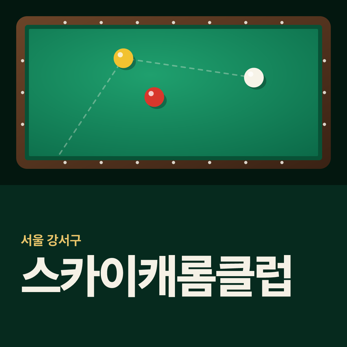스카이캐롬클럽 당구장 카드