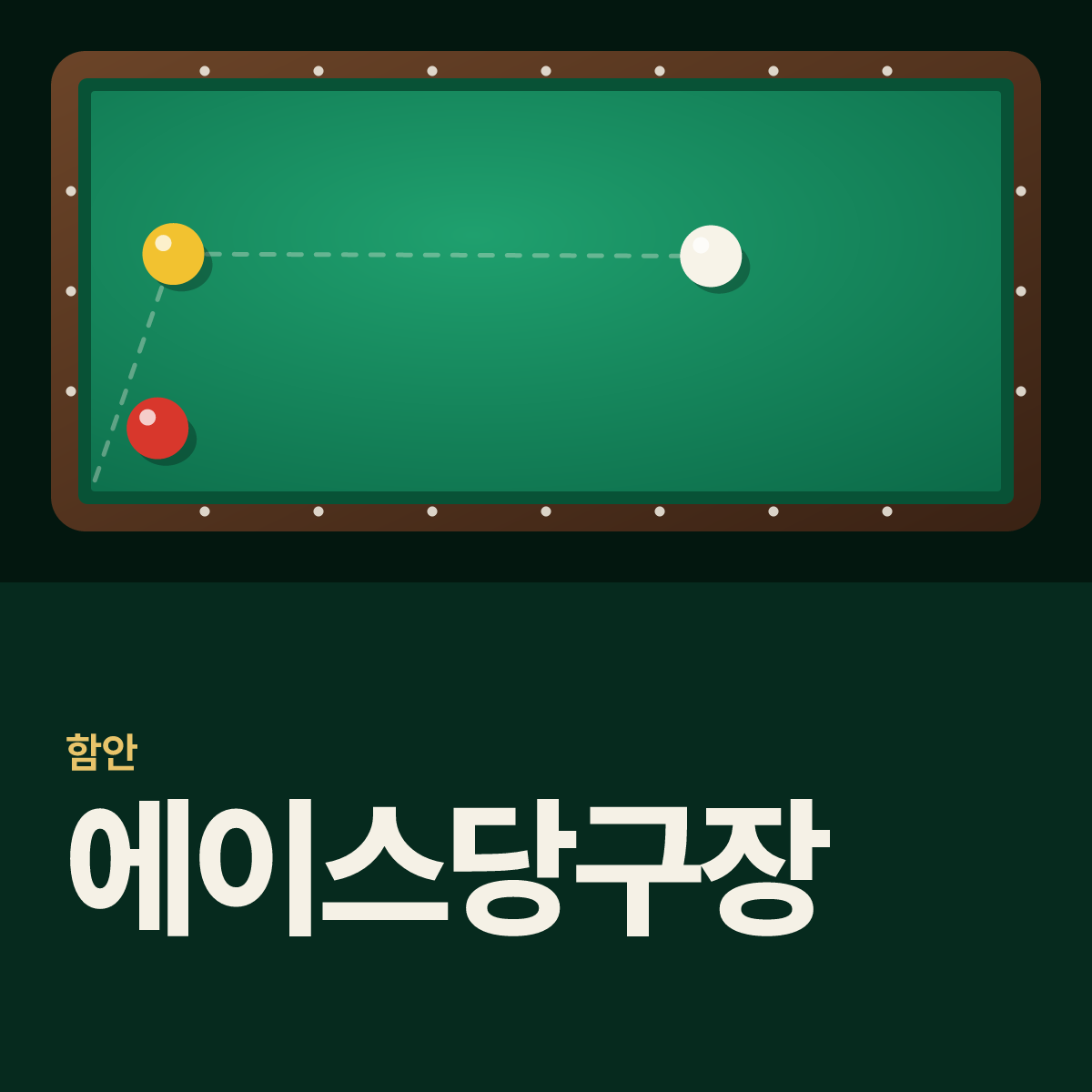 에이스당구장 카드