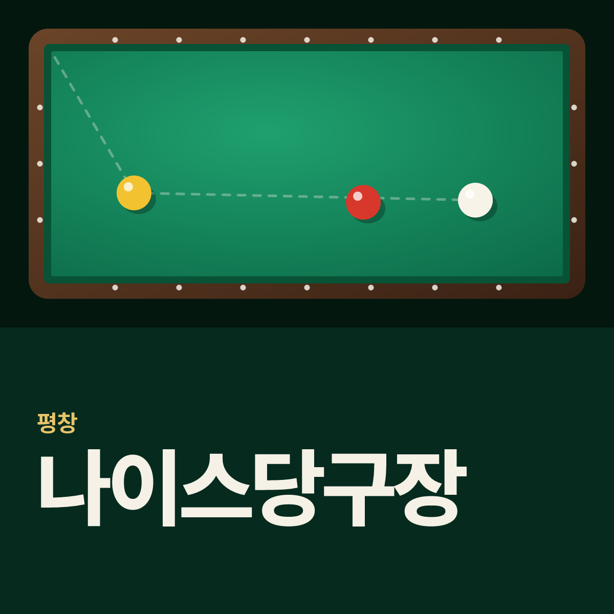 나이스당구장 카드