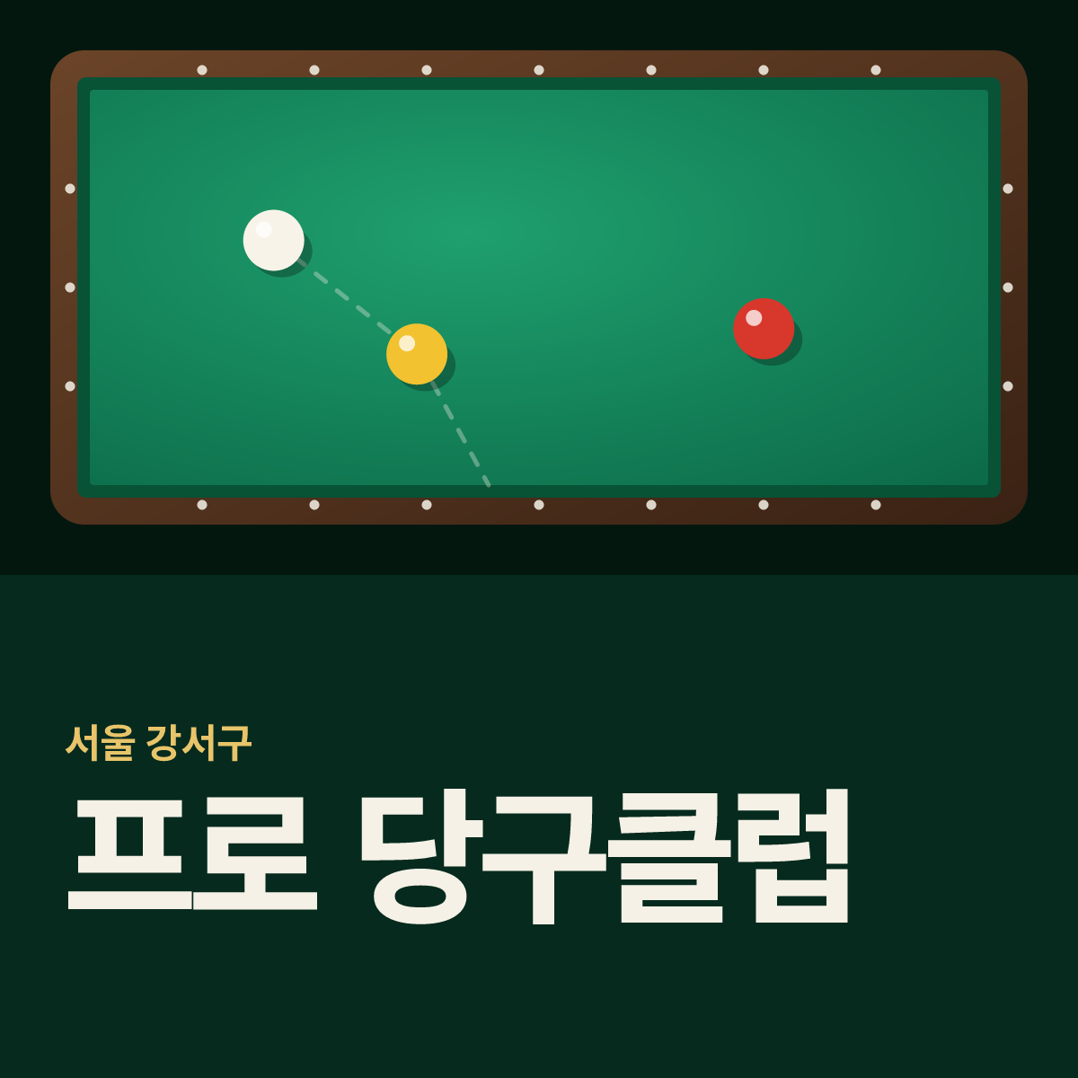 프로 당구클럽 당구장 카드