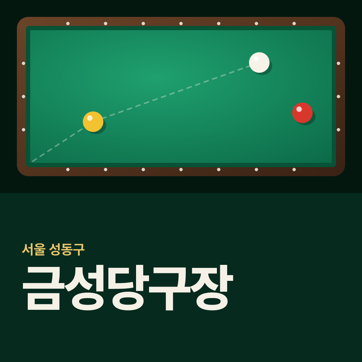 금성당구장 카드