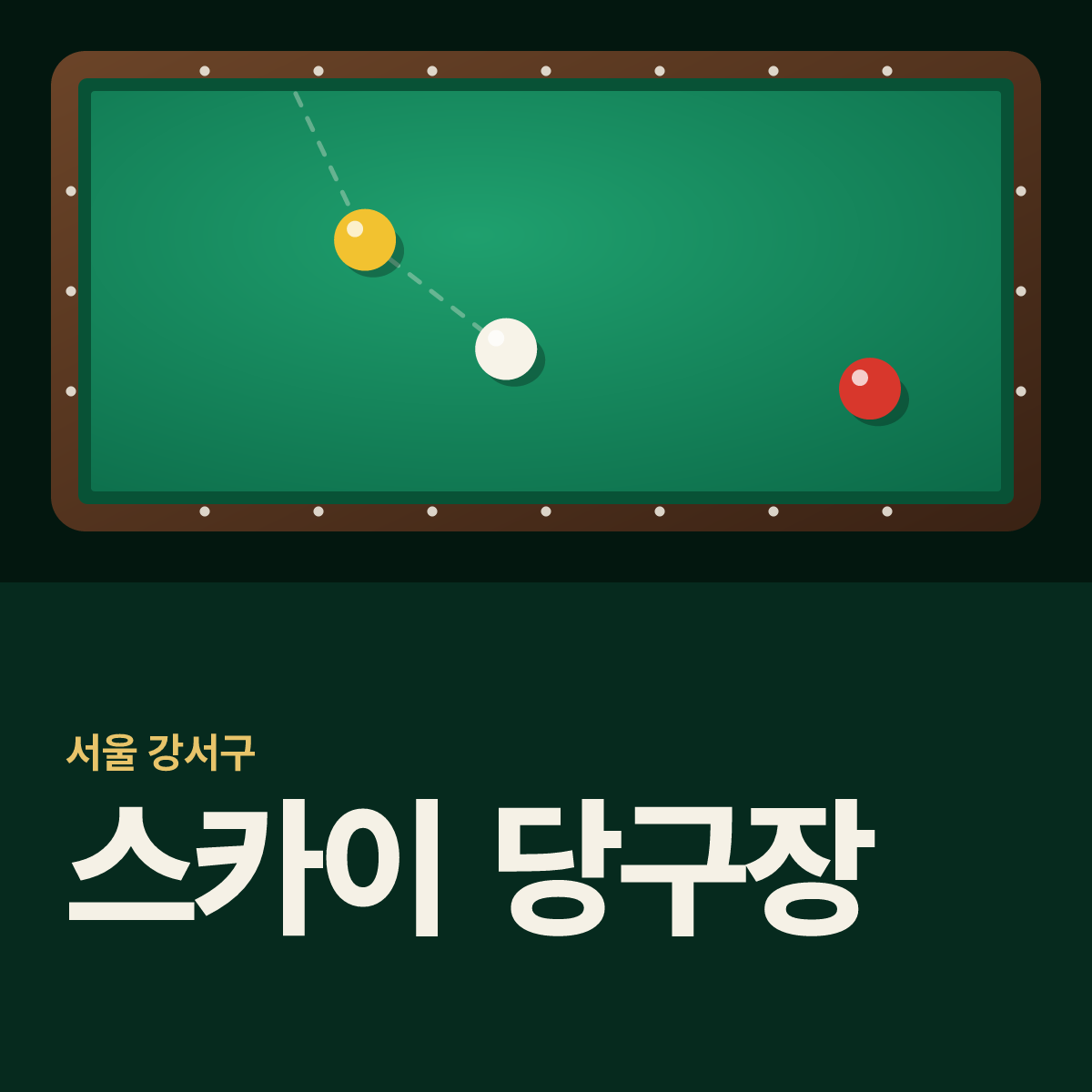 스카이 당구장 카드