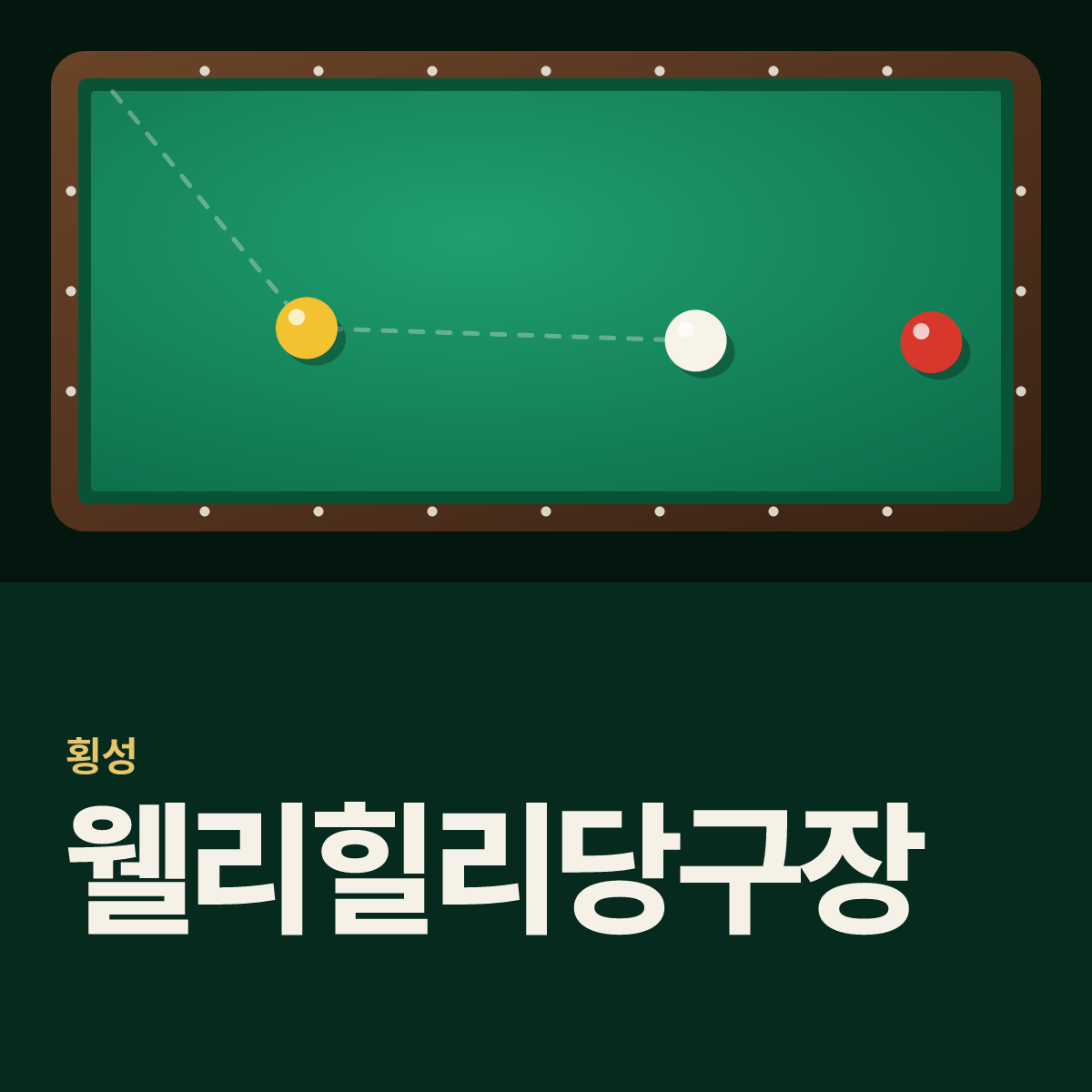 웰리힐리당구장 카드