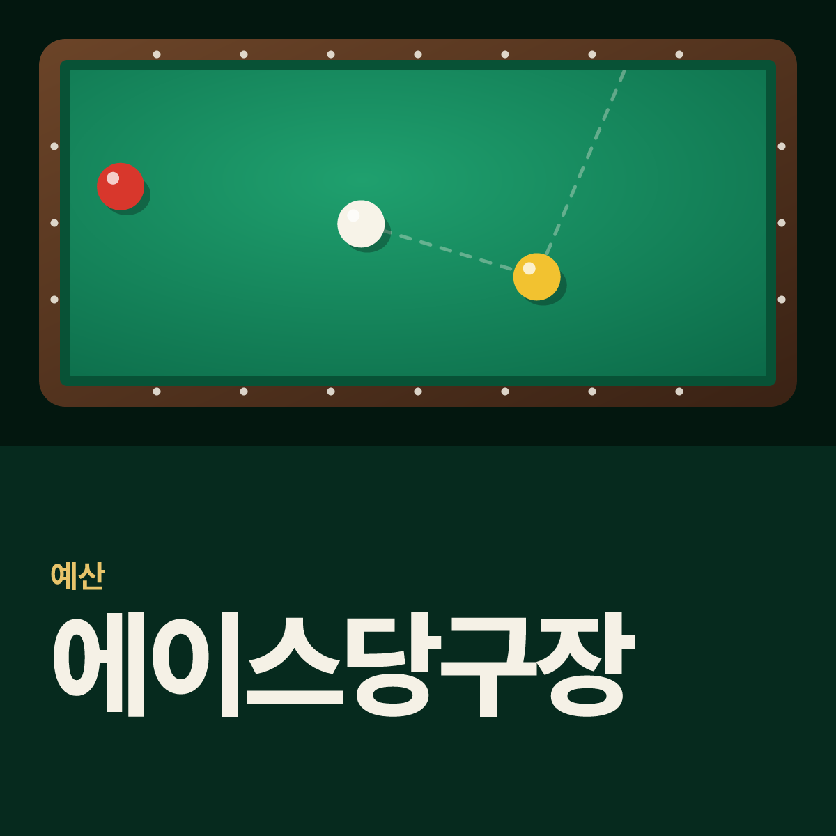 에이스당구장 카드