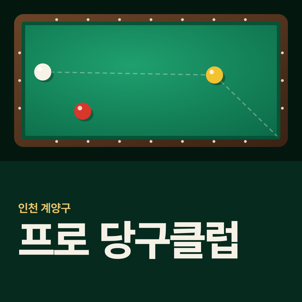 프로 당구클럽 당구장 카드