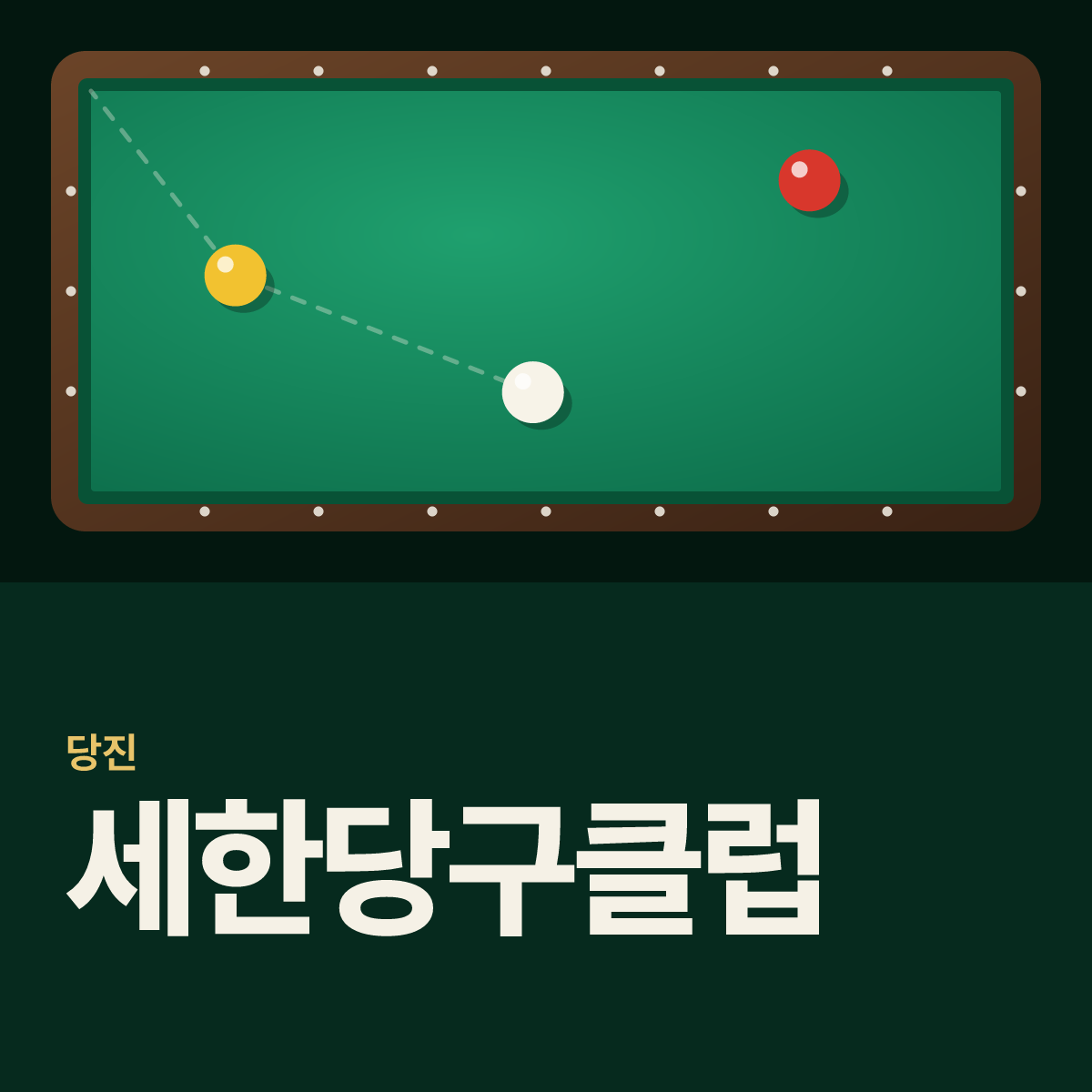 세한당구클럽 당구장 카드