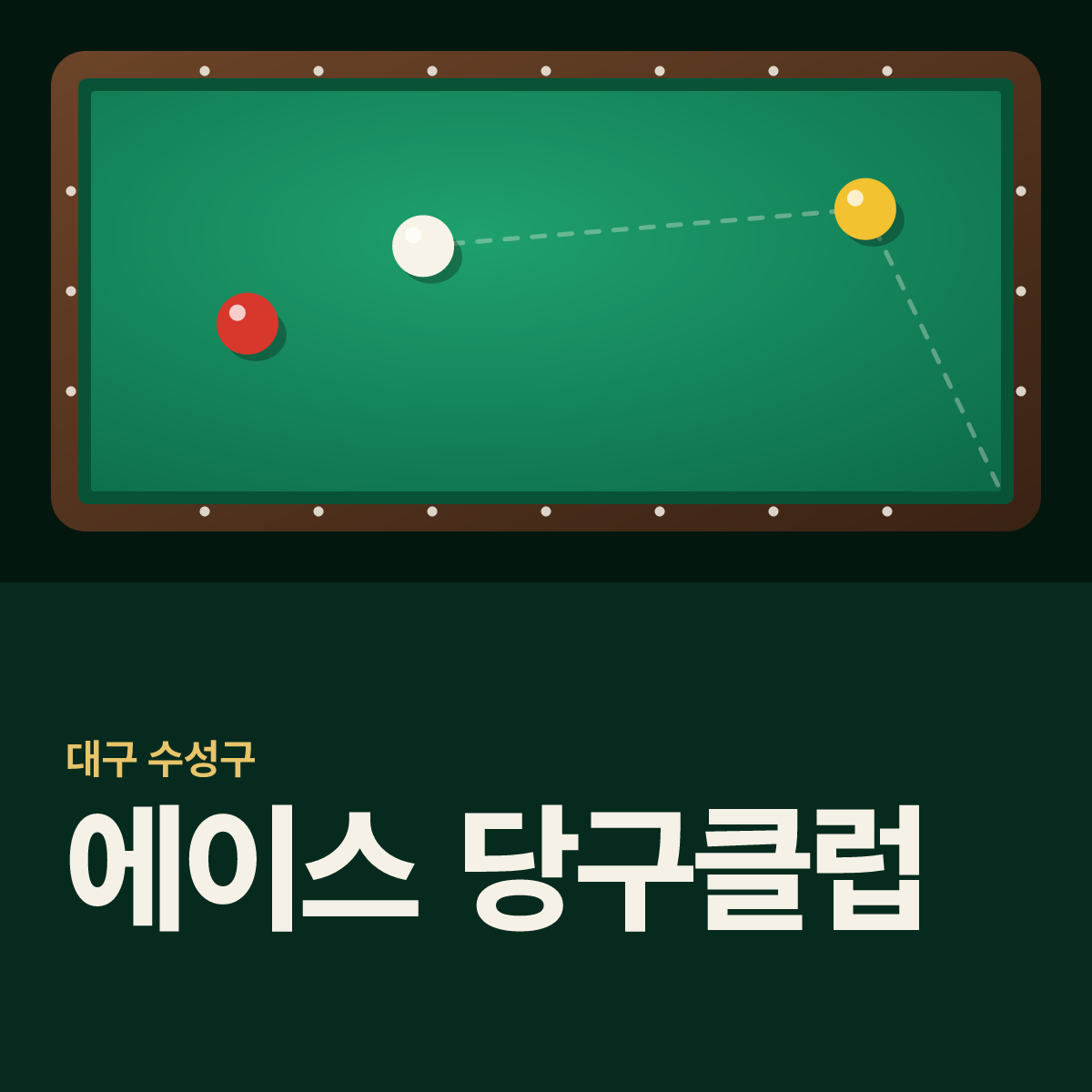 에이스 당구클럽 당구장 카드