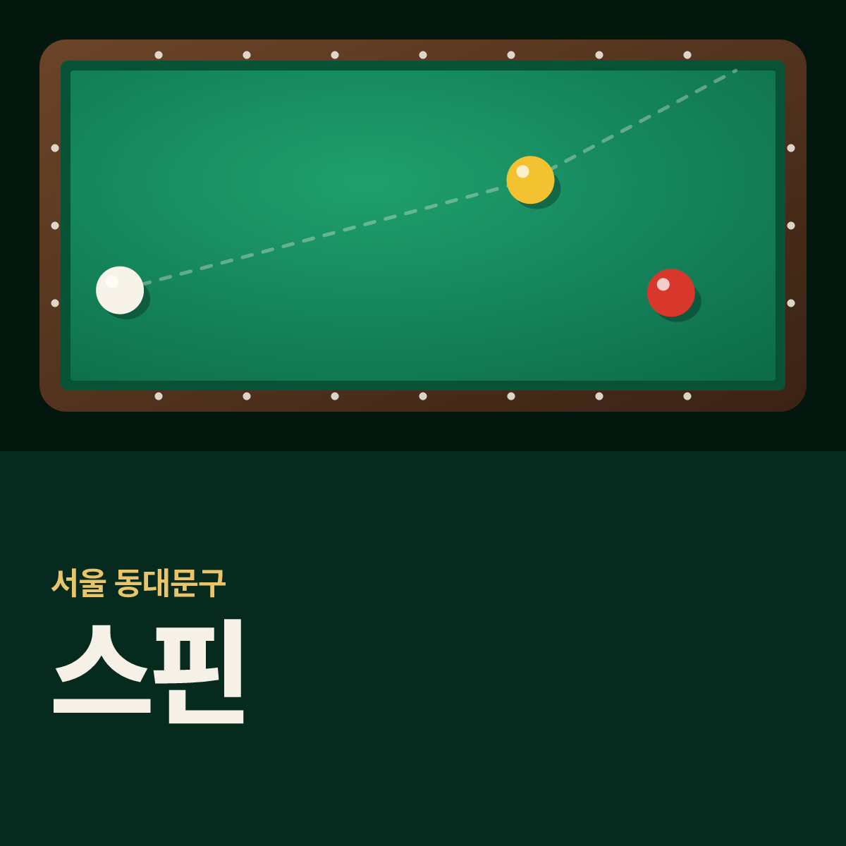 스핀 당구장 카드