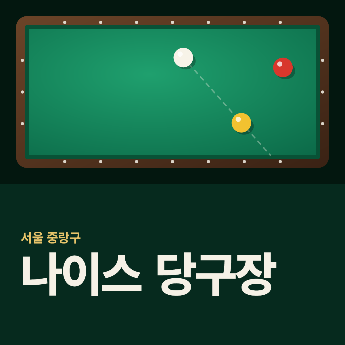 나이스 당구장 카드