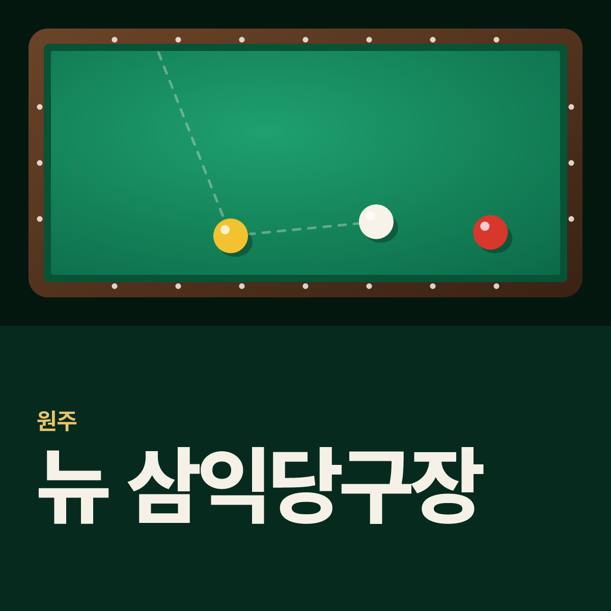 뉴-삼익당구장 카드