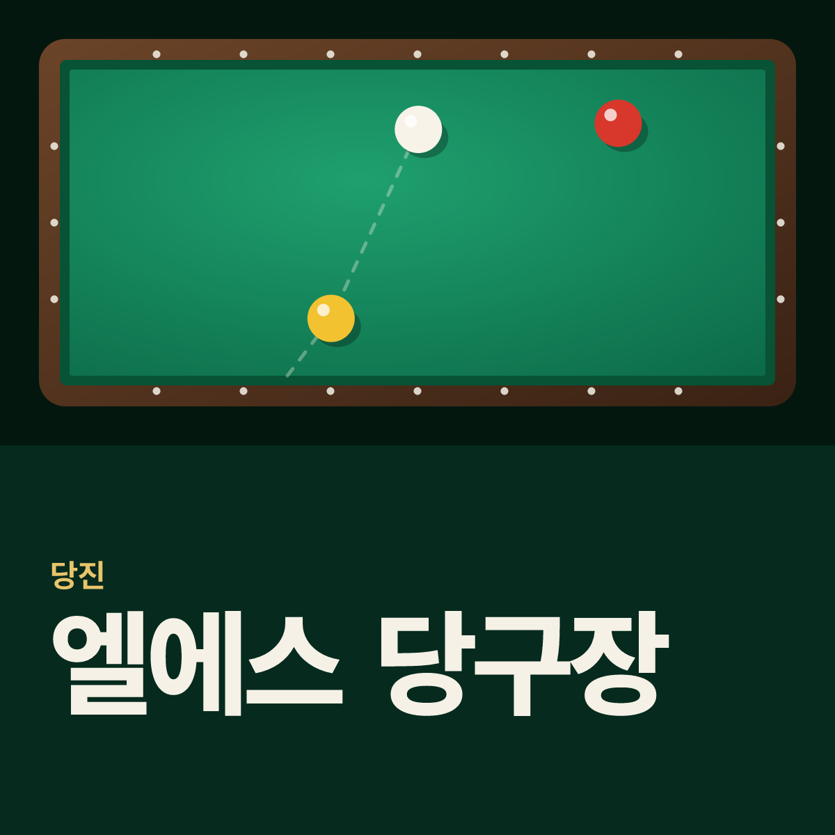 엘에스 당구장 카드