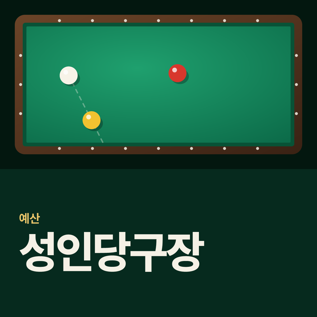 성인당구장 카드