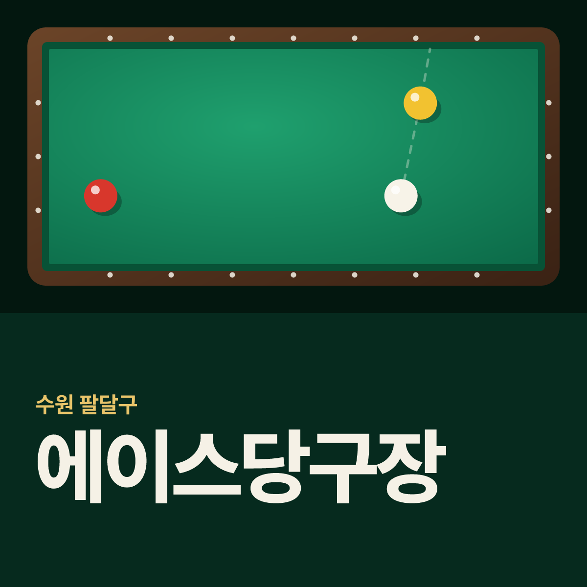 에이스당구장 카드