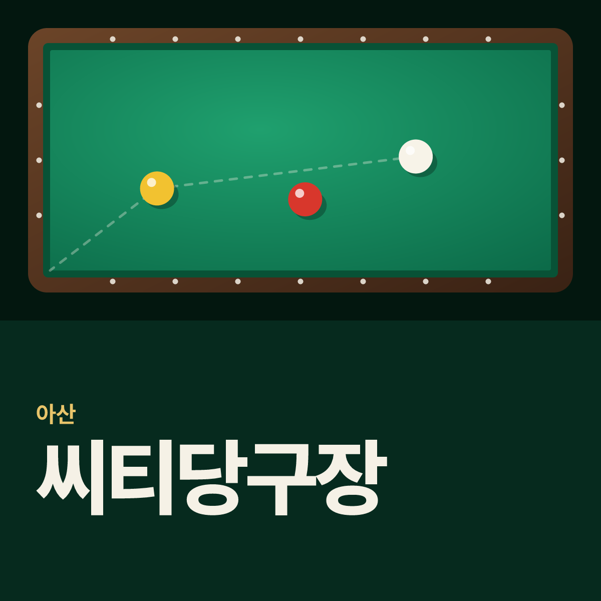 씨티당구장 카드