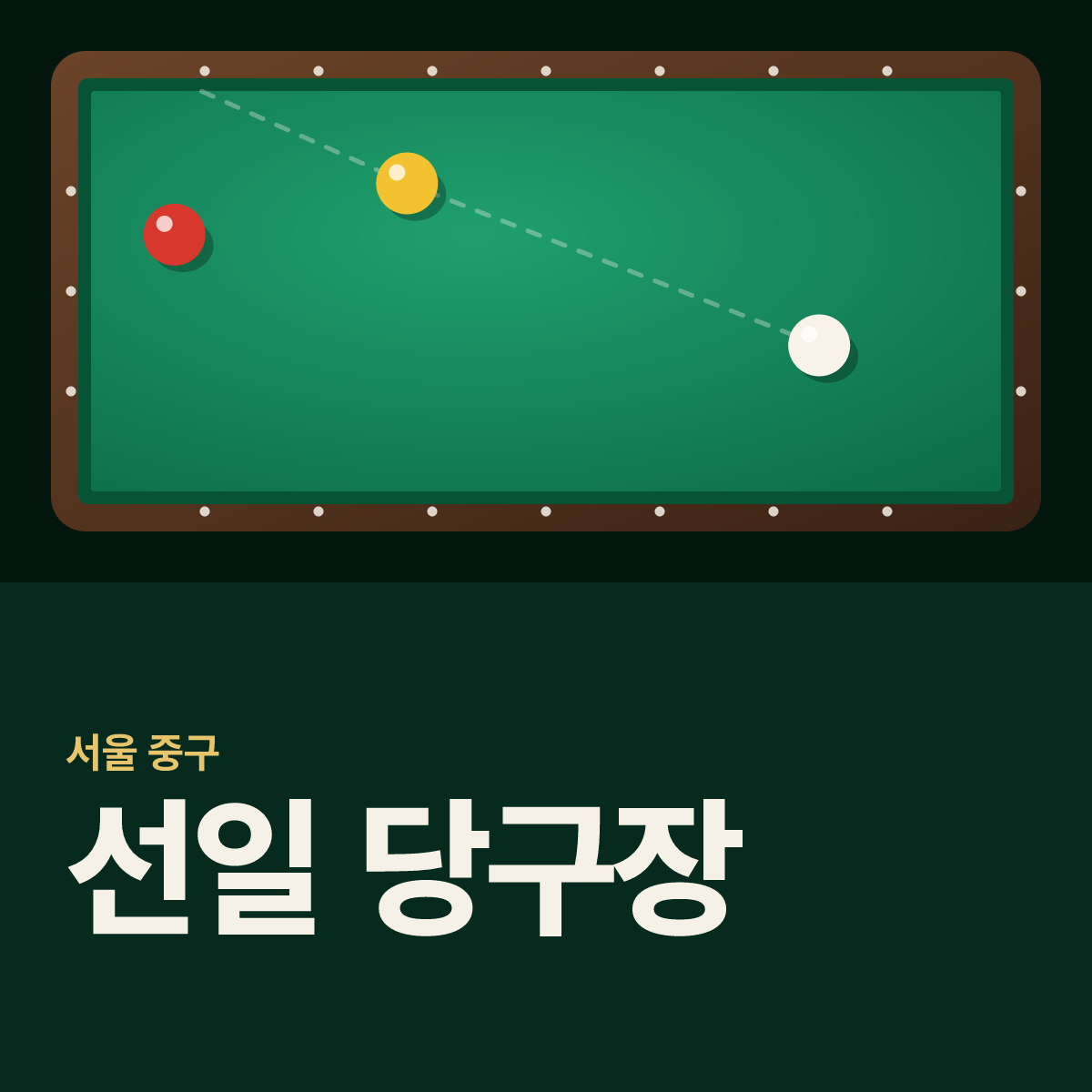 선일 당구장 카드