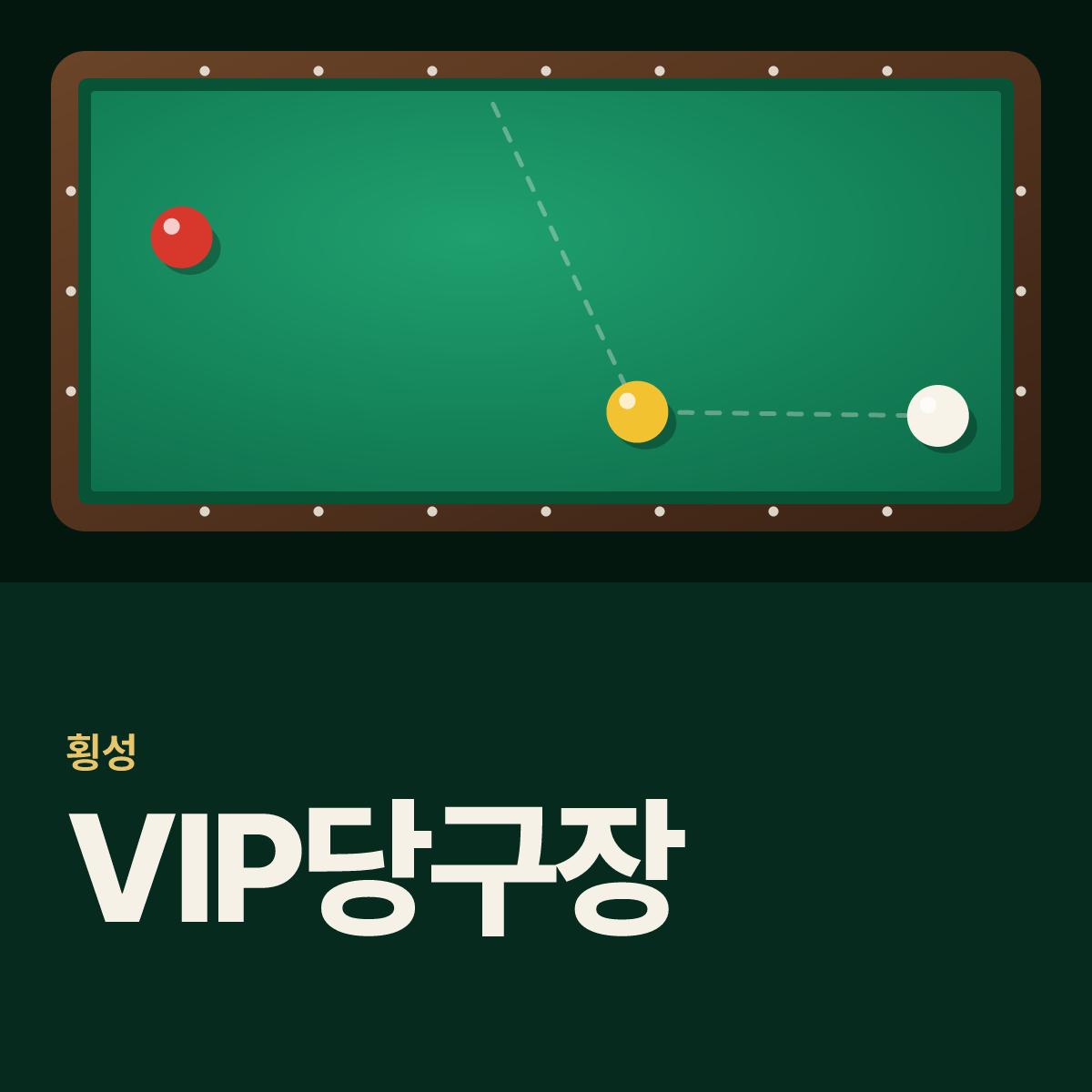 VIP당구장 카드