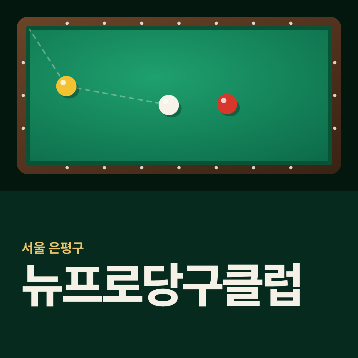뉴프로당구클럽 당구장 카드