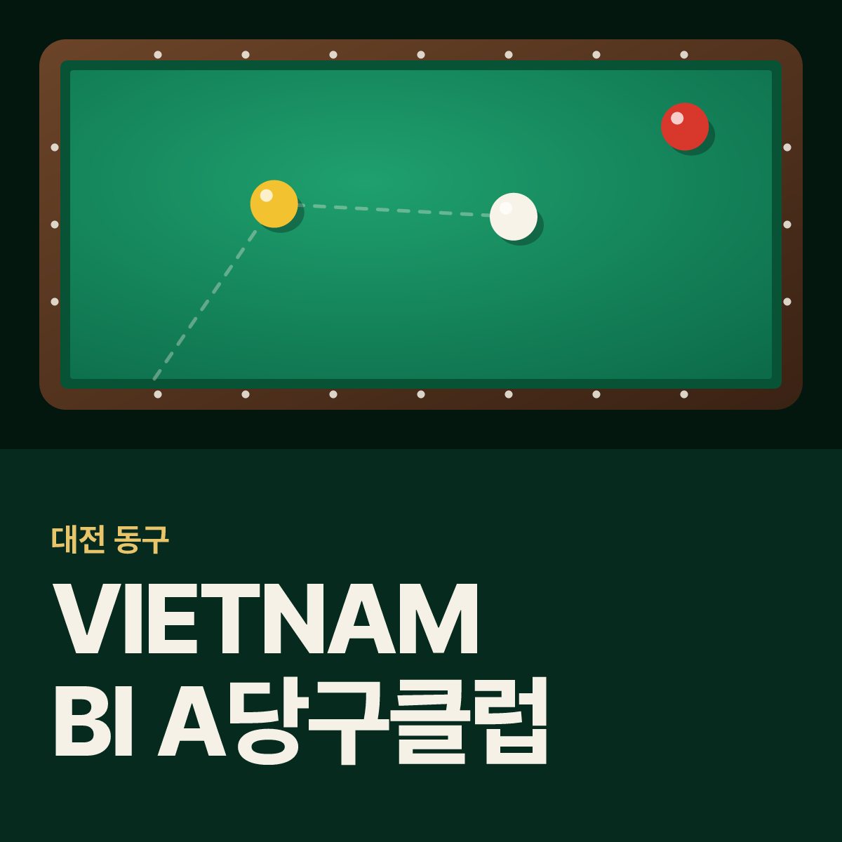 VIETNAM BI-A당구클럽 당구장 카드