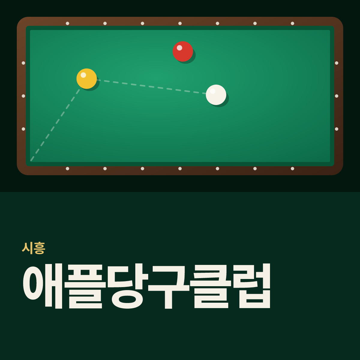 애플당구클럽 당구장 카드